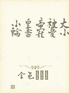 小皇帝被大臣们轮番宠爱小说