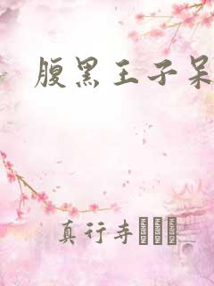 腹黑王子呆呆女