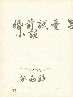 婚前试爱 吕颜 小说