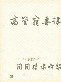 高管宠妻很丰满