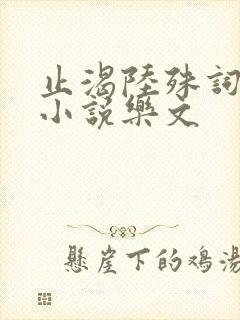 止渴陆殊词陆筝小说乐文