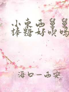 小东西舅舅的棒棒糖好吃吗