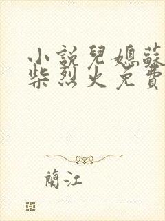 小说儿媳苏玥干柴烈火免费阅读