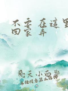 不要 在这里 回家 弄