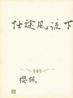 仕途风流下载