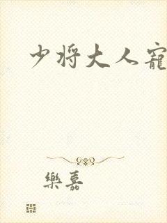 少将大人宠宠我