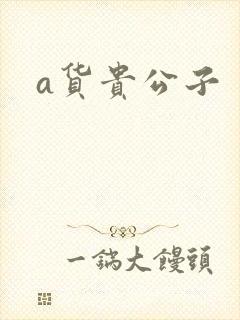 a货贵公子