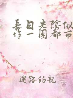 长日光阴似箭乱作一团都市言情