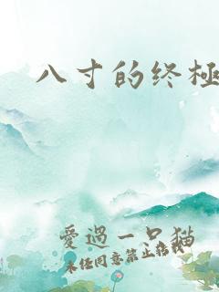 八寸的终极凶器