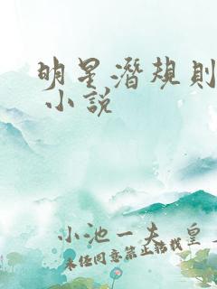 明星潜规则之皇 小说