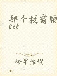 那个校霸腰好软txt