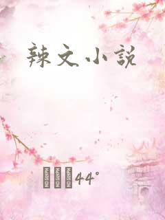 辣文小说