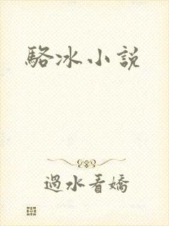 骆冰小说