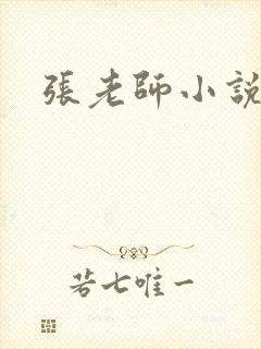 张老师小说
