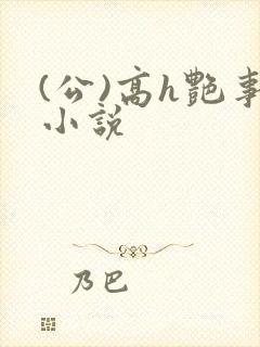 (公)高h艳事小说