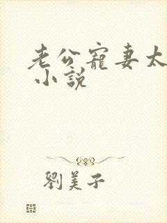 老公宠妻太甜蜜 小说