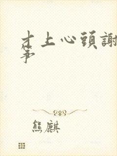 才上心头谢柳陆筝