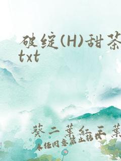破绽(H)甜茶txt
