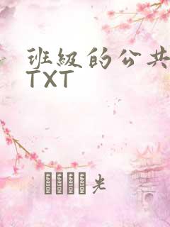 班级的公共玩具TXT