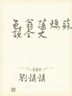 色翁荡熄苏钥小说全文