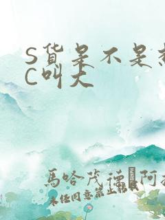 S货是不是想挨C叫大