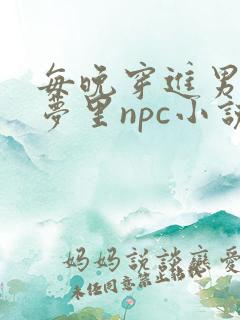 每晚穿进男神的梦里npc小说