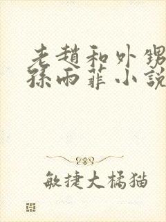 老赵和外甥媳妇孙雨菲小说