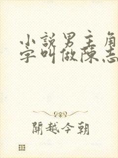 小说男主角的名字叫做陈志远