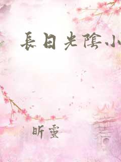 长日光阴小说