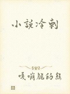 小说冷刺