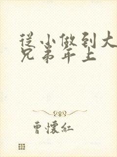 从小做到大骨科兄弟年上