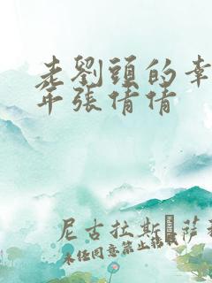 老刘头的幸福晚年张倩倩