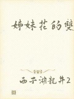 姊妹花的双重奏