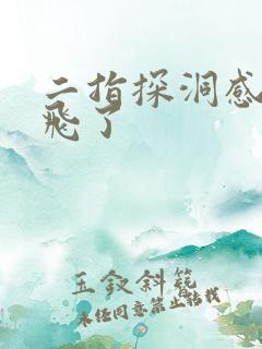 二指探洞感觉要飞了