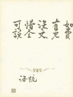 可惜没有如果小说全文免费阅读