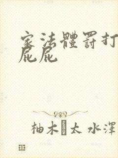 家法体罚打丫鬟屁屁