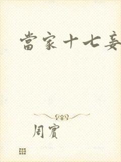 当家十七妾