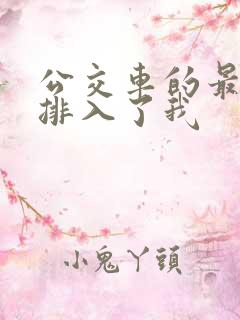 公交车的最后一排入了我