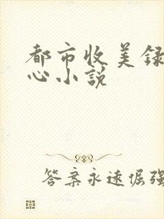 都市收美录宁素心小说