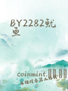 BY2282鱿鱼