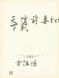 天价前妻txt下载