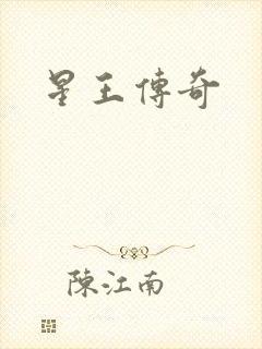星王传奇
