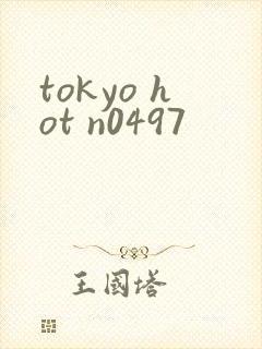 tokyo hot n0497