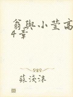 翁与小莹高潮24章