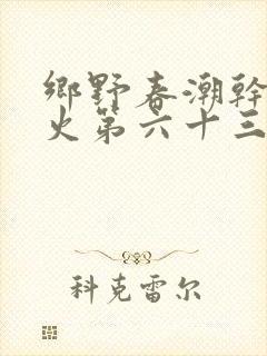 乡野春潮干柴烈火第六十三章