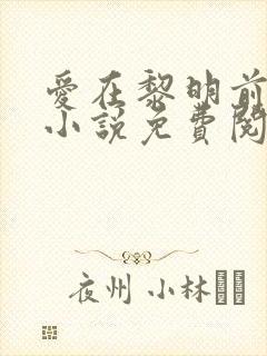 爱在黎明前降落小说免费阅读