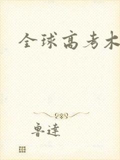 全球高考木苏里