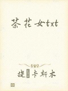 茶花女txt