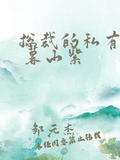 总裁的私有宝贝 暮山紫