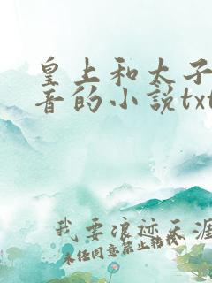 皇上和太子妃沈音的小说txt